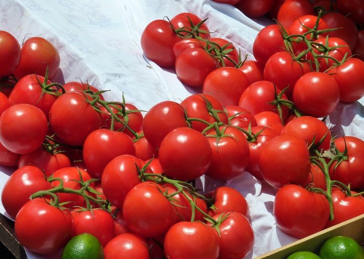 FDA issues tomato recall warning due to possible salmonella outbreak